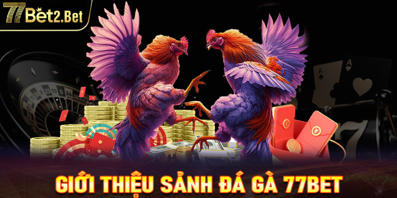 Giới  thiệu về sảnh chơi đá gà tại 77Bet