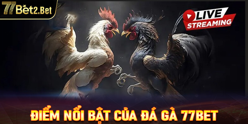 Những điểm nổi bật tạo nên sự khác biệt của sảnh đá gà 77Bet