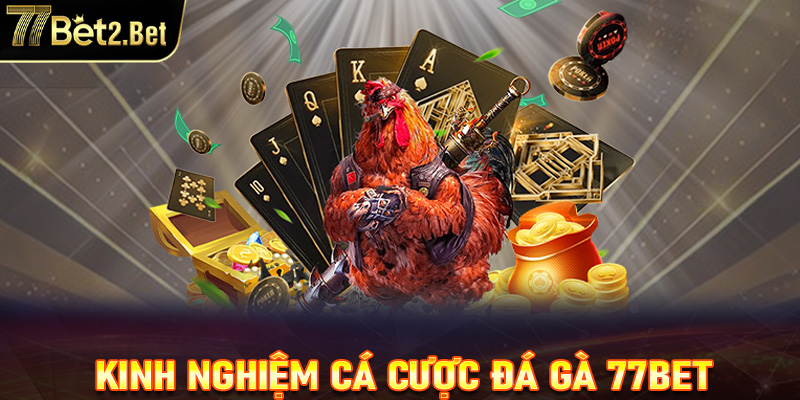 Một số kinh nghiệm khi chơi đá gà tại nhà cái 77Bet 